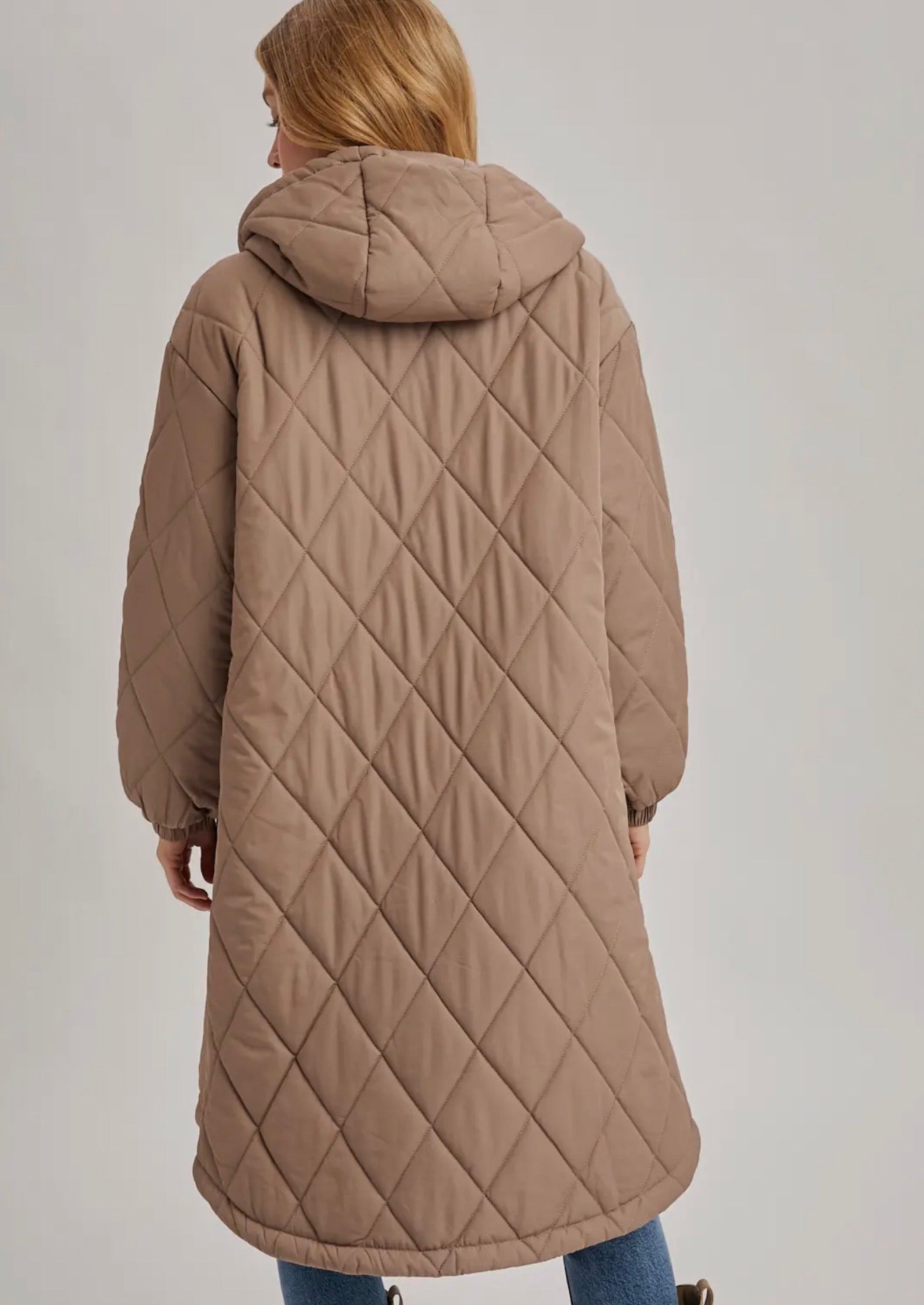 The mountain puffy coat